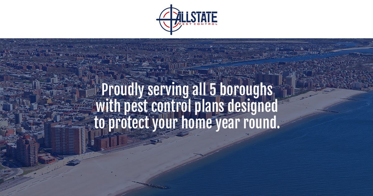 Pest Management Professionals Nassau & Suffolk County, NY | All State ...